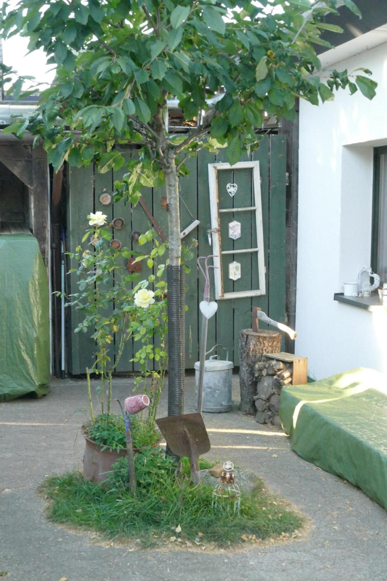 מונסטר אים היידקרייס Ferienhaus Mit Minibauernhof מראה חיצוני תמונה