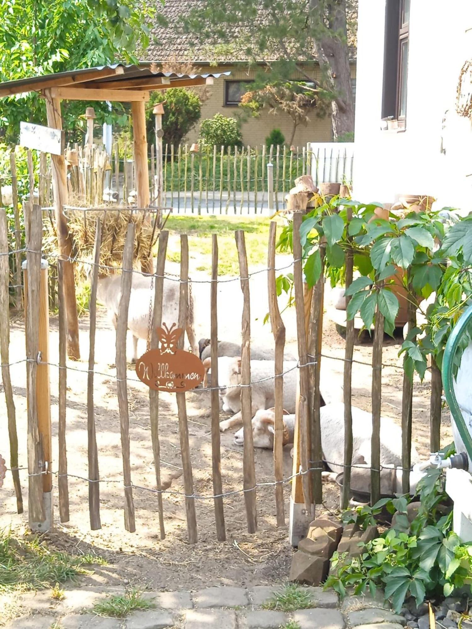 מונסטר אים היידקרייס Ferienhaus Mit Minibauernhof מראה חיצוני תמונה